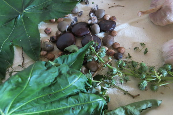 Ayuboa Ayurveda Reisen Yoga Alpino Atlantico Madeira Essen 6