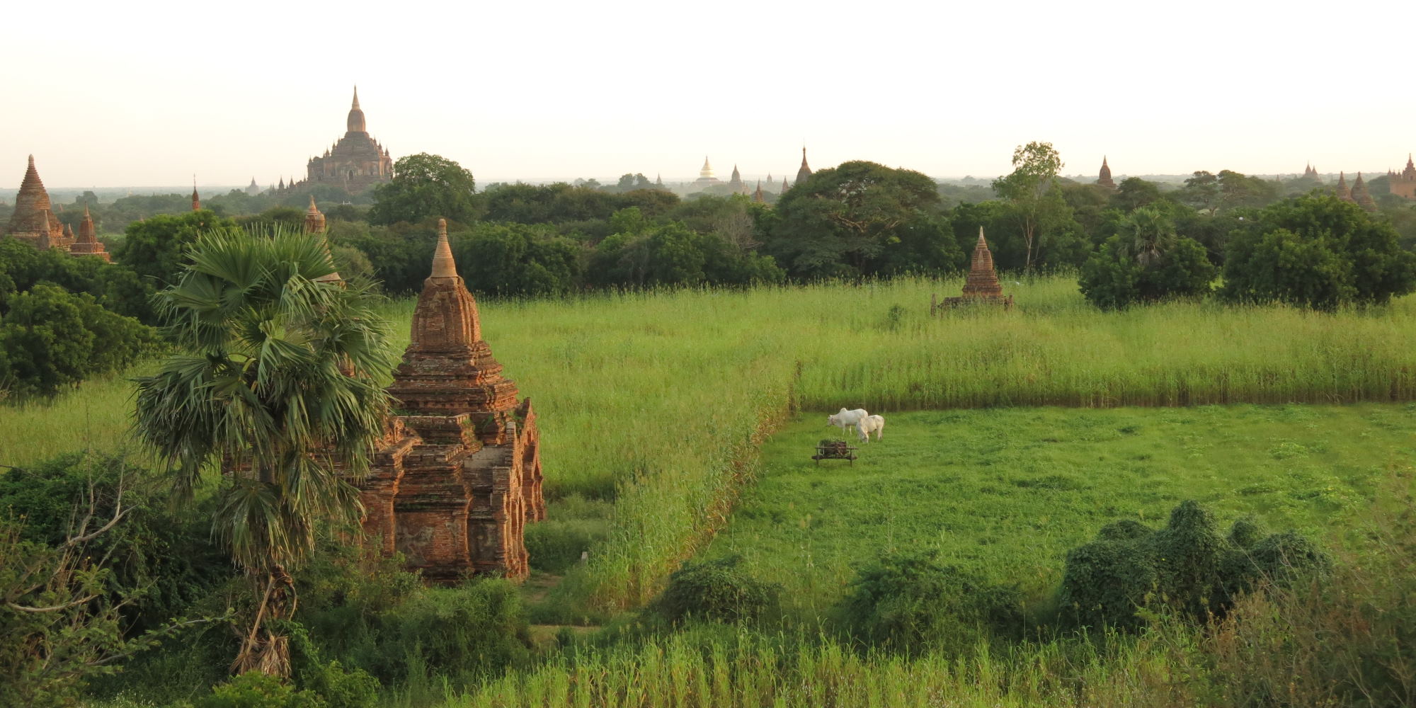 Myanmar Reisen mit YOga