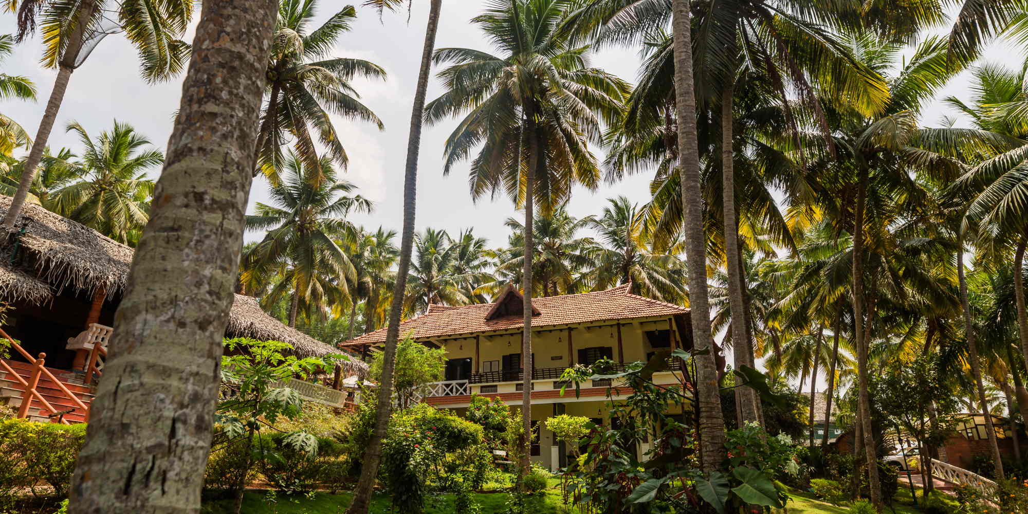 Ayurveda Indien Kuren Nikkis Nest