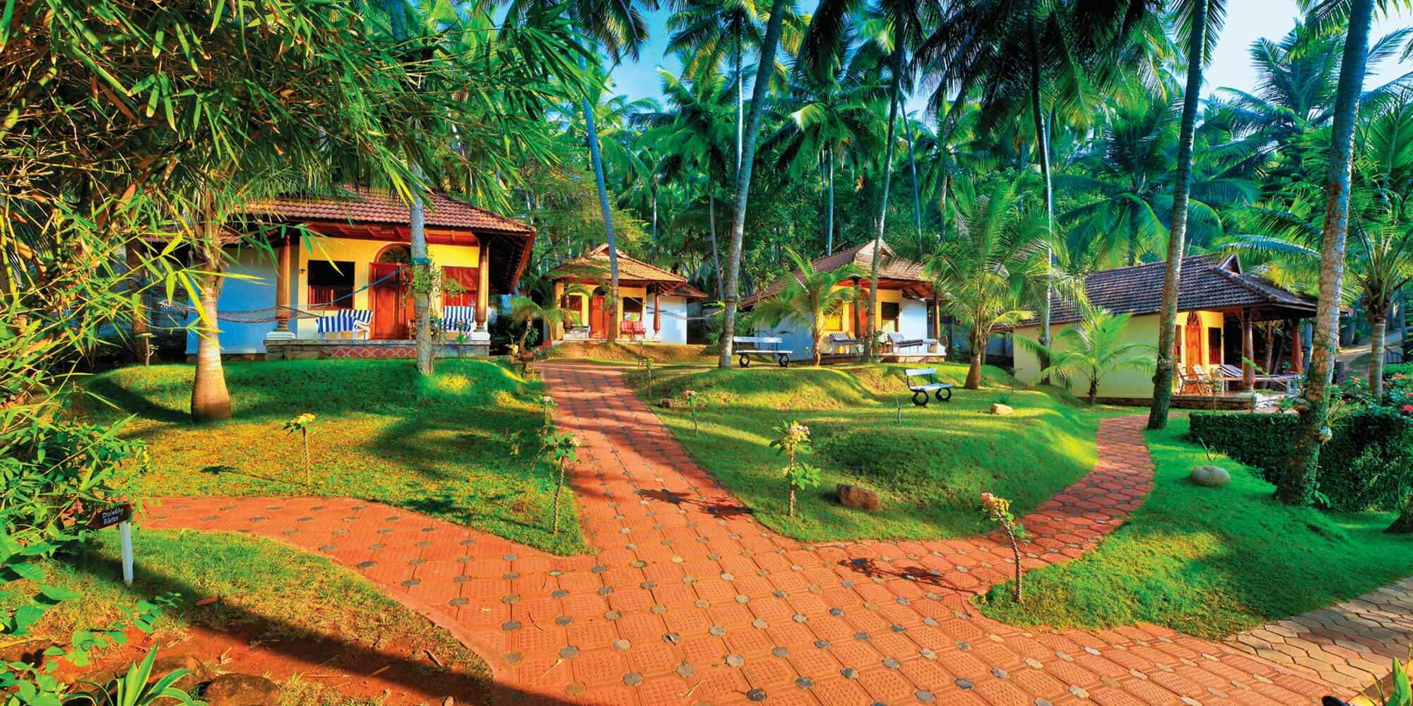 Ayurveda Indien Kuren im Nikkis Nest