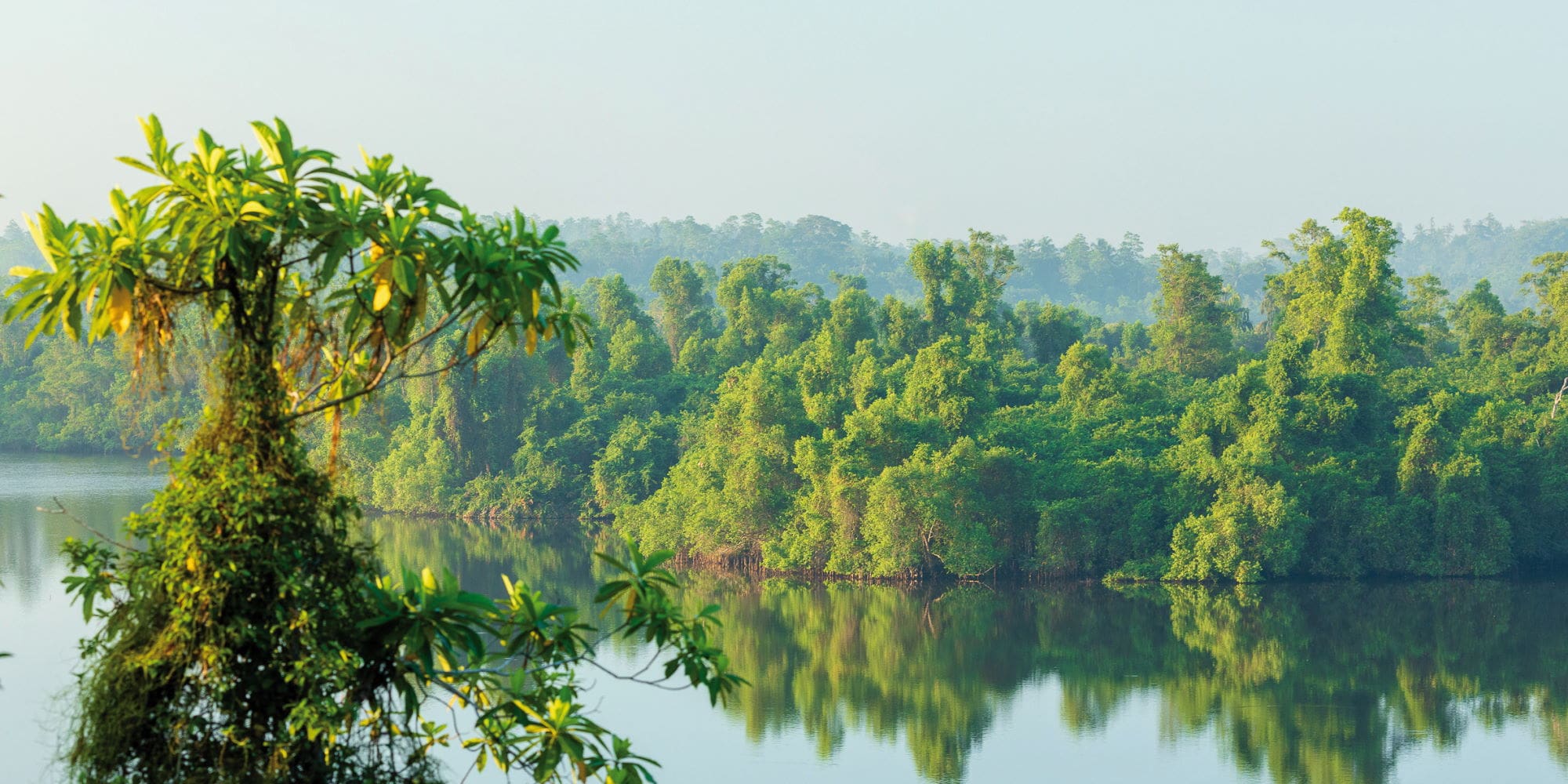 Pure Nature Ayurveda House Sri Lanka Yoga
