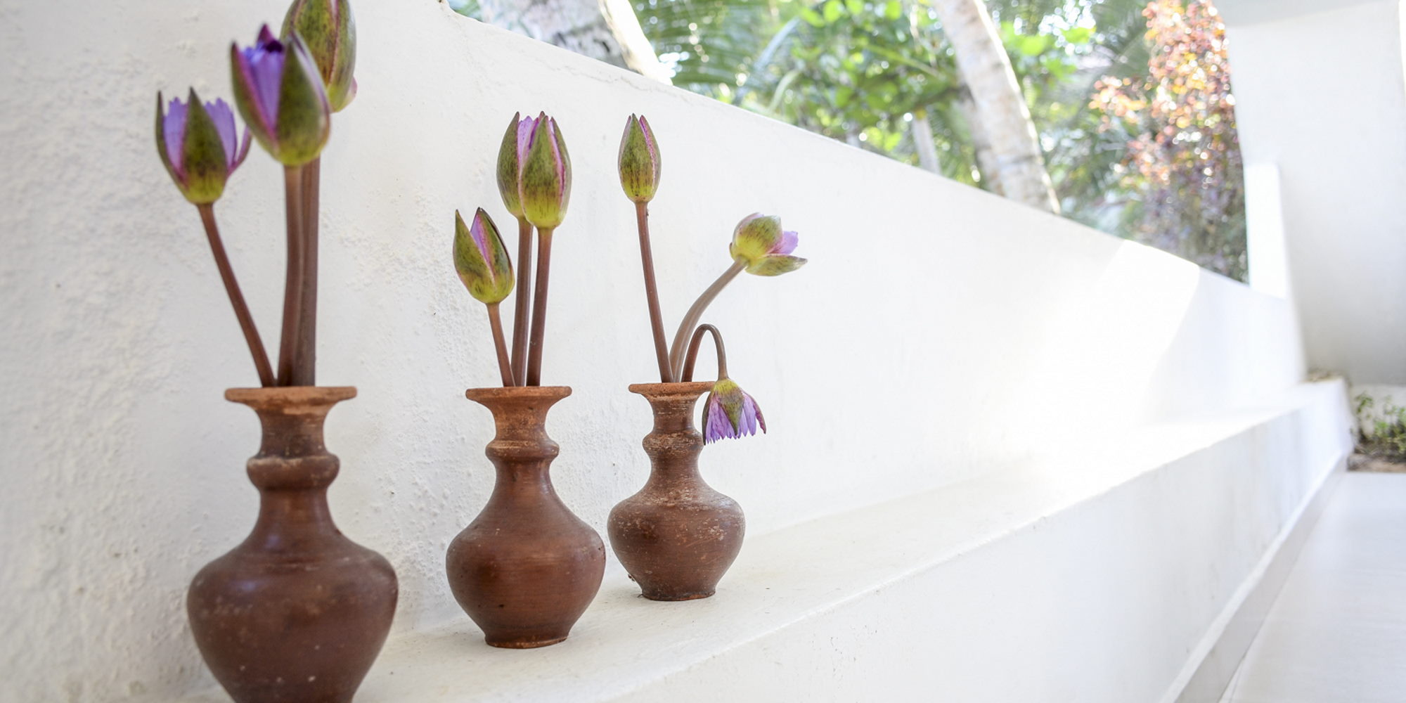 Ayurveda Kur SriLanka Yoga Signoflife
