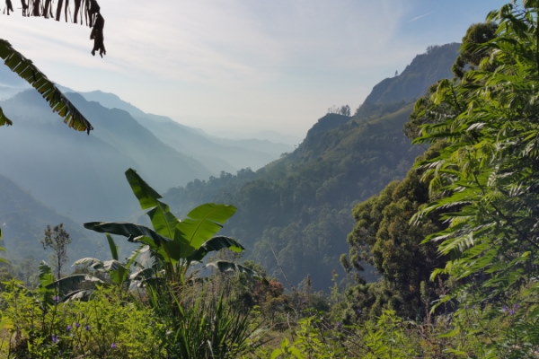 Teneriffa Ayurveda Yoga Urlaub Ayuboa Meerblick 6