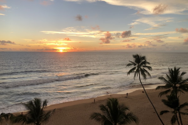Teneriffa Ayurveda Yoga Urlaub Ayuboa Essen 6