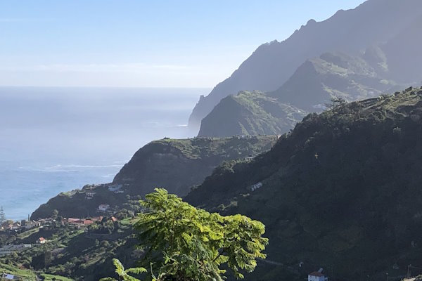 Madeira Ayurvedakur Ashoka 6