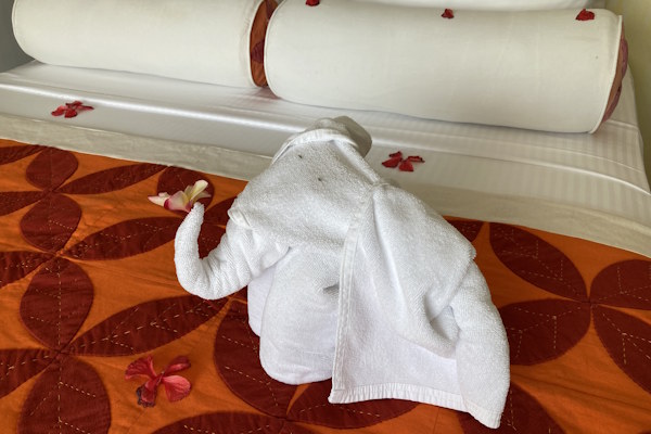 srilanka ayurveda yoga ayurvie ayuboa 6