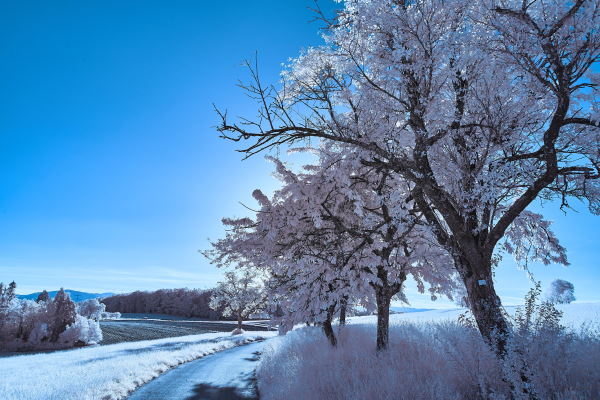 Ayurveda Yoga Deutschland Ayuboa Kur Schnee
