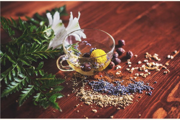 Ayuboa Reisen Ayurveda Kuren Deutschland Yoga Panchakarma
