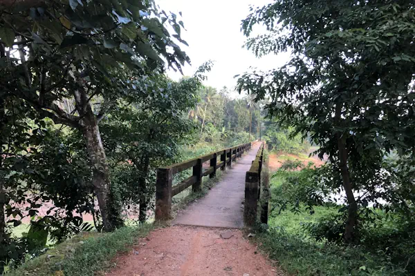 burnout hilfe ayurveda ayuboa