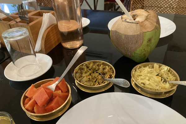 panchakarma kur indien sreechitra ayuboa 6