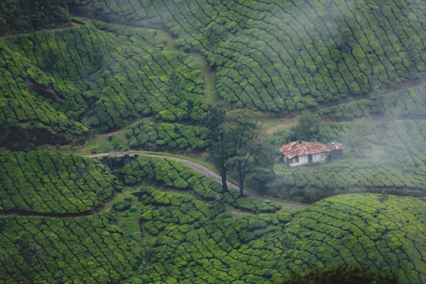 Kerala Ayurveda Ayuboa dream holidays 6