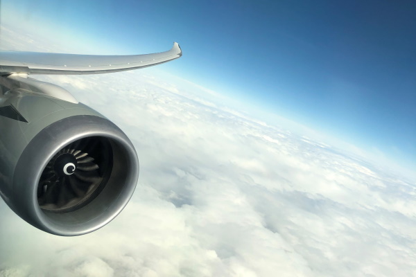Indien Ayurveda Kur QatarAirways 6