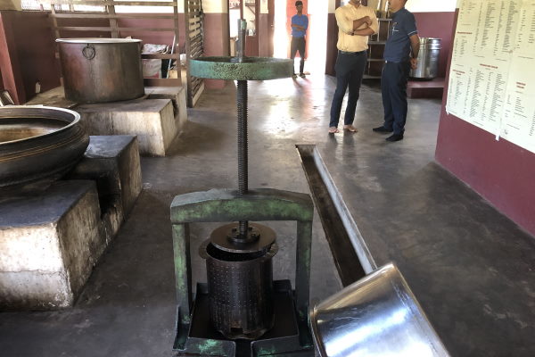 Indien Ayurveda Kuren Kerala Yoga lherstellung 6