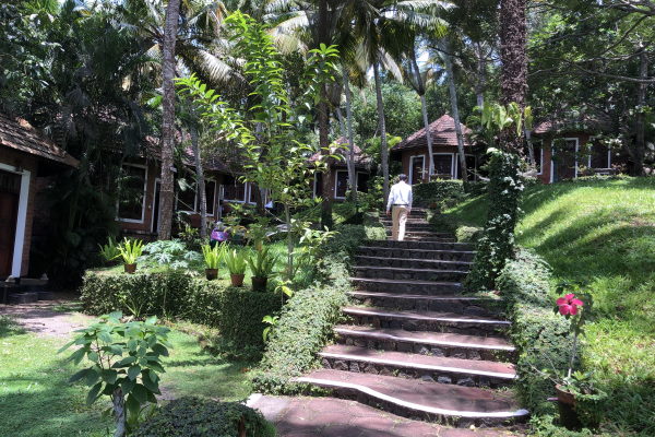 Indien Ayurveda Manaltheeram Garten 6