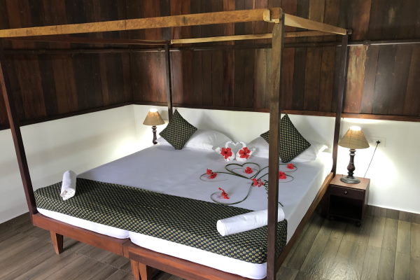 Meiveda Ayurveda Indien Palace Zimmer 6