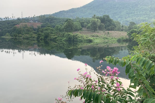 Healing Kerala Ayurveda 6