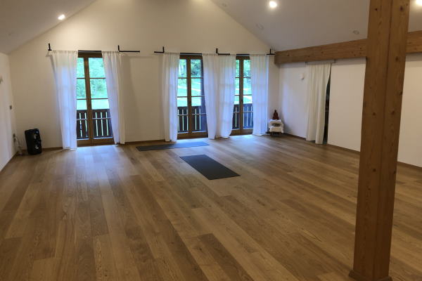 Ayurveda Slowenien Plesnik Ayuboa Yoga 6