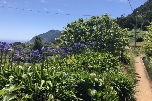 Yoga Wandern Madeira Ayurveda Urlaub Ayuboa Levada