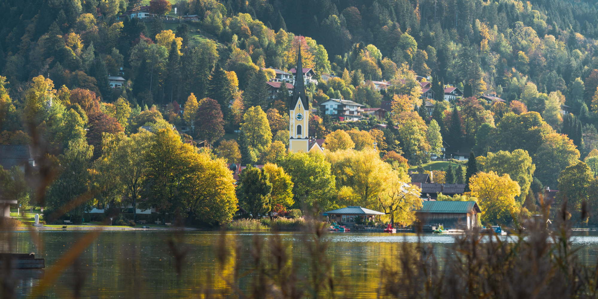 Ayurveda und Yoga in Deutschland