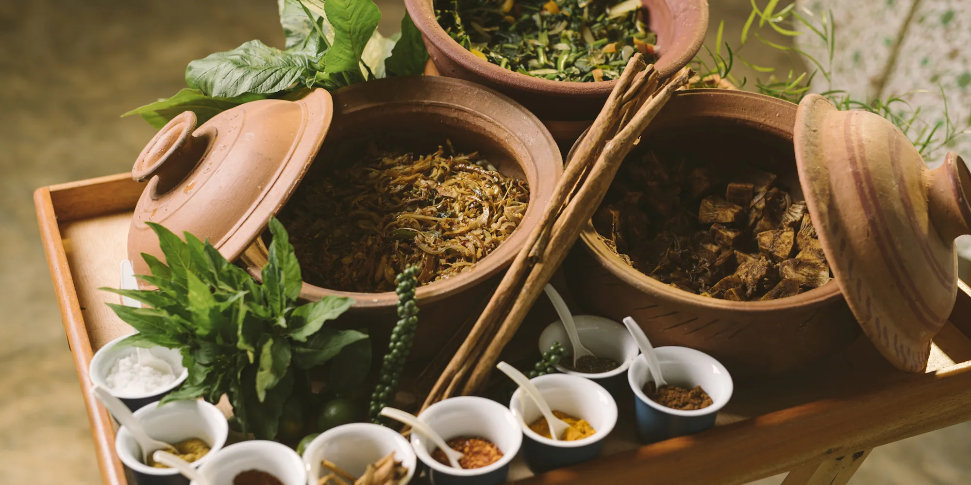 Ayurveda Kuren Sri Lanka Kurresort am See ayuboa