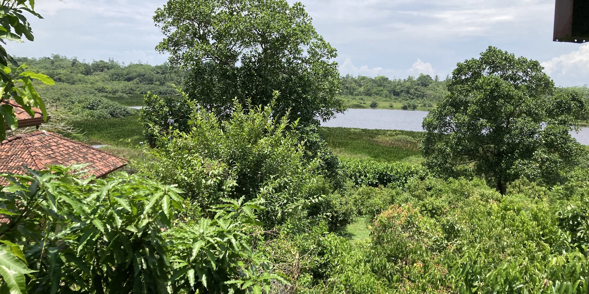 Ayurveda Kuren Sri Lanka Kurresort am See ayuboa