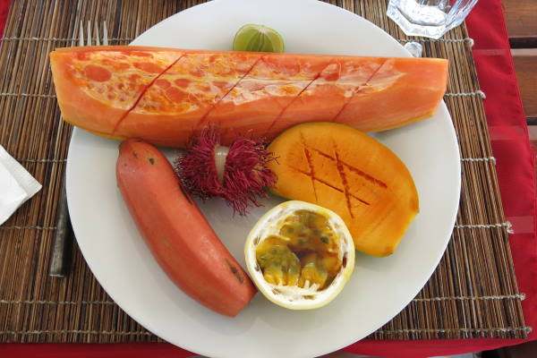 Ayuboa Reisen Ayurveda Yoga Sign of Life Obst 6