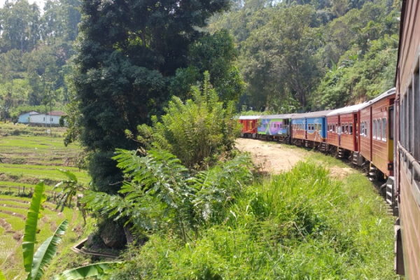 SriLanka Zugfahrt Rundreise Ayurveda Yoga Ayuboa 6