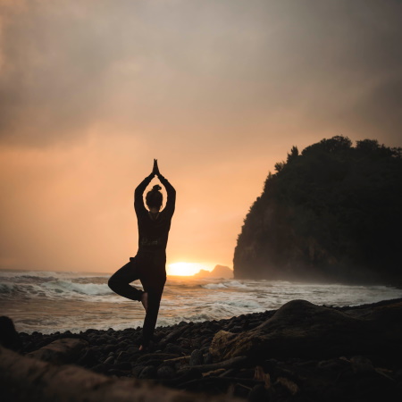 ayuboa toni goth ayurveda yoga reisen